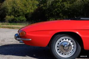 Afbeelding 21/50 van Alfa Romeo 1600 Spider Duetto (1967)