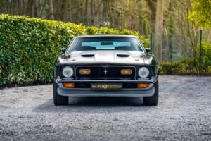 Immagine 6/48 di Ford Mustang Boss 351 (1970)