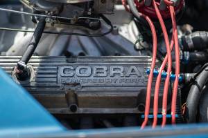 Immagine 14/44 di Everett-Morrison Shelby Cobra (1968)