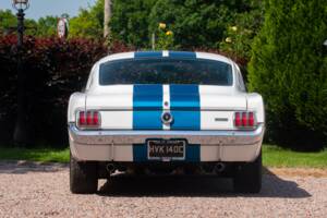 Bild 14/50 von Ford Shelby GT 350 (1965)