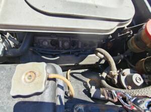 Image 13/17 of FIAT Dino Spider (1968)