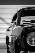 Image 4/4 of Ford Mustang 200 (1966)