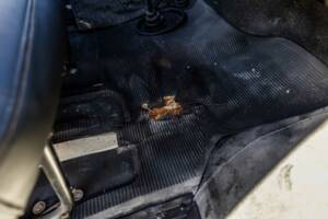 Bild 132/155 von Ford Transit (1975)