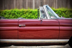 Immagine 21/71 di Mercedes-Benz 220 SE b (1961)
