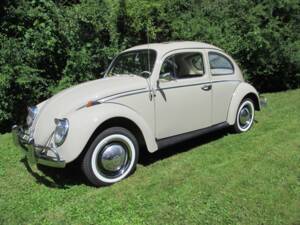 Image 5/39 of Volkswagen Maggiolino 1200 Export "Dickholmer" (1964)