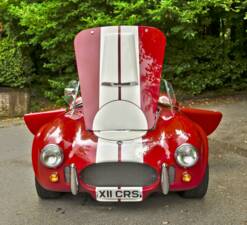 Image 21/50 de AC Cobra 289 (2000)