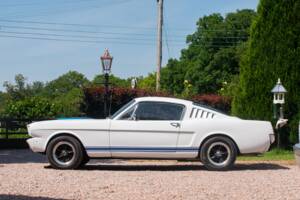 Bild 13/50 von Ford Shelby GT 350 (1965)