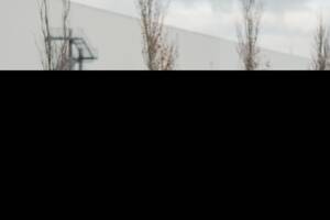 Afbeelding 5/18 van Porsche 911 Turbo 3.3 (1988)