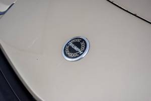 Immagine 20/50 di Triumph TR 8 (1980)