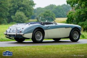 Immagine 14/44 di Austin-Healey 3000 Mk II (BN7) (1962)