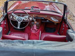 Immagine 13/23 di Austin-Healey 3000 Mk II (BJ7) (1964)