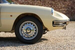 Image 43/50 of Alfa Romeo 1600 Duetto (1967)