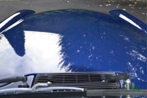 Image 48/50 of Triumph TR 6 (1975)