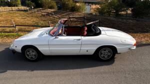 Afbeelding 2/19 van Alfa Romeo 1750 Spider (1969)