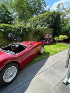 Bild 17/150 von Austin-Healey 100/4 (BN1) (1955)