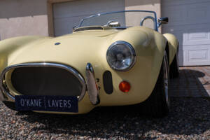 Bild 14/51 von AC Cobra 289 (1999)