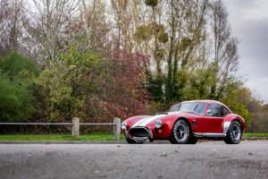 Afbeelding 16/50 van AC Cobra 289 (2000)