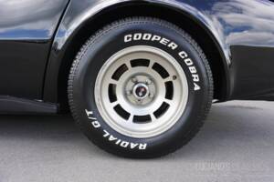 Image 20/58 de Chevrolet Corvette Sting Ray (1979)