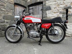 Immagine 2/46 di Ducati 350 Mark 3 D (1969)