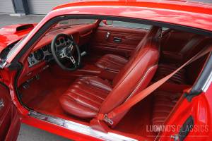 Bild 28/64 von Pontiac Firebird TransAm (1976)