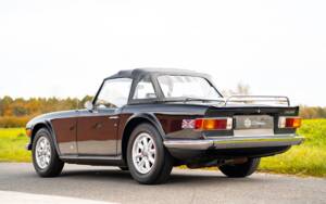 Immagine 6/36 di Triumph TR 6 (1974)