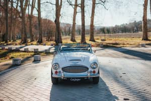 Bild 5/44 von Austin-Healey 3000 Mk III (BJ8) (1966)