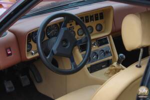 Image 18/22 of Maserati Kyalami (1979)