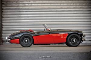 Immagine 6/68 di Austin-Healey 3000 Mk I (BT7) (1959)