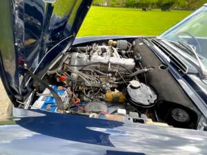 Image 48/50 de Mercedes-Benz 230 SL (1967)