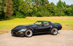 Image 1/42 of Chevrolet Corvette Sting Ray (1980)