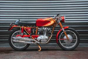 Image 1/43 of Ducati 175 Sport (1959)
