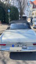 Image 8/37 de Mercedes-Benz 250 SE (1966)