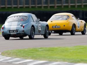 Bild 50/76 von Speedwell GT (1960)