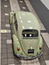 Image 7/15 of Volkswagen Beetle 1200 Standard "Dickholmer" (1963)