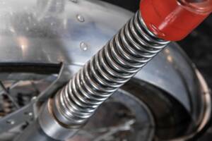 Image 14/32 of Berneg DUMMY (1952)