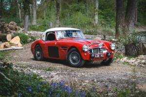 Imagen 3/28 de Austin-Healey 3000 Mk I (BT7) (1960)