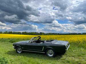 Bild 7/11 von Ford Mustang 289 (1965)