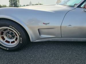 Bild 12/37 von Chevrolet Corvette 5.0L (1979)