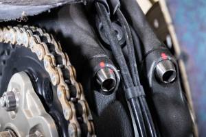Bild 29/50 von Ducati DUMMY (2019)