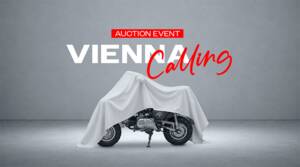 Immagine 29/50 di Honda Z 50 M Monkey (1967)