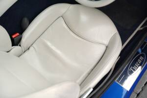 Image 19/50 of TVR Tuscan S (2000)