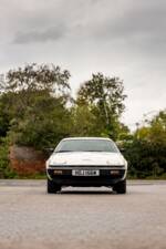 Image 8/50 of Triumph TR 7 Europa (1981)