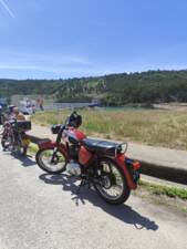 Image 20/51 of BSA B 44 (1966)