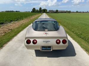 Afbeelding 4/50 van Chevrolet Corvette Collector Edition (1982)