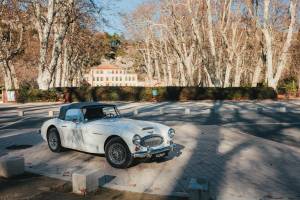 Bild 1/44 von Austin-Healey 3000 Mk III (BJ8) (1966)
