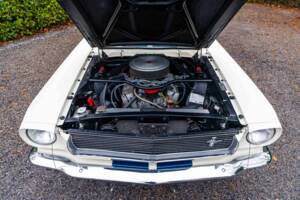 Image 22/27 of Ford Shelby GT 350 (1966)
