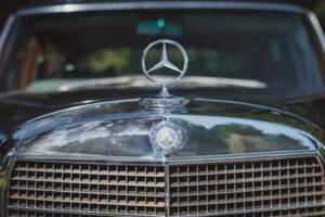 Bild 15/50 von Mercedes-Benz 600 (1965)