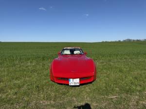 Image 7/20 of Chevrolet Corvette Sting Ray (1980)