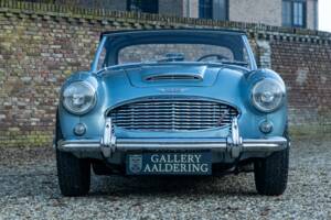 Bild 5/50 von Austin-Healey 3000 Mk I (BN7) (1960)