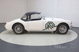 Bild 10/19 von MG MGA 1600 (1961)